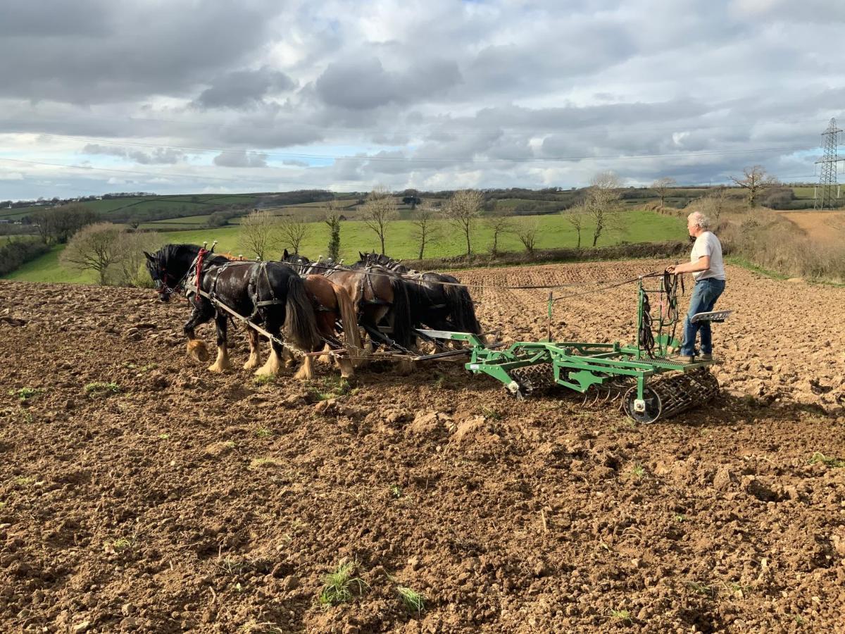 Higher Biddacott Farm Chittlehampton